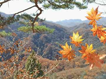打胎药在线购买微信东丽医院打胎药贵吗（东丽医院生孩子怎么样）